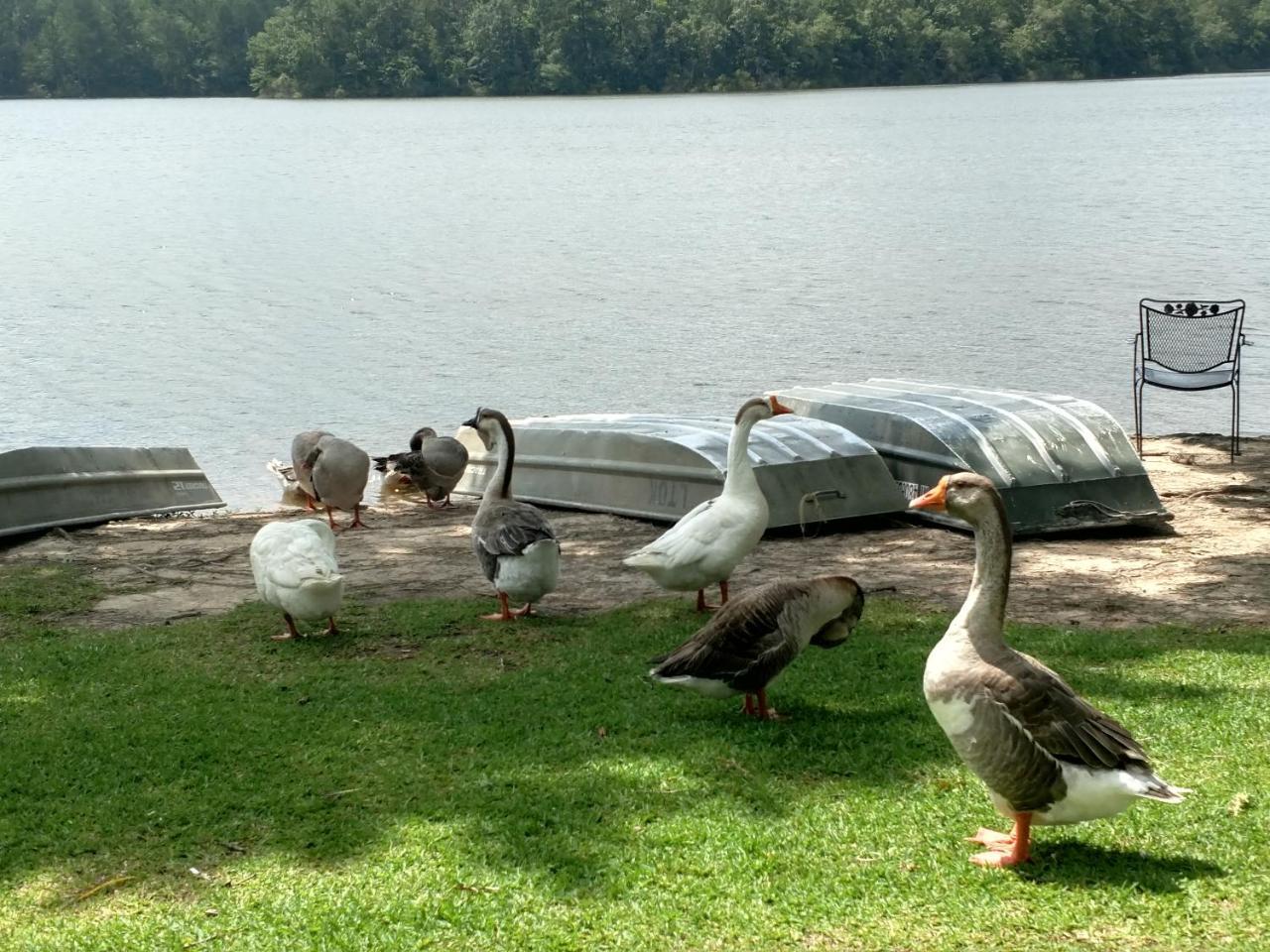 Lake Tiak - O'Khata Resort Louisville Екстер'єр фото